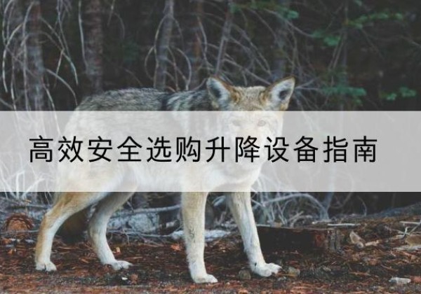怒江升降货梯厂家推荐-*安全选购升降设备指南
