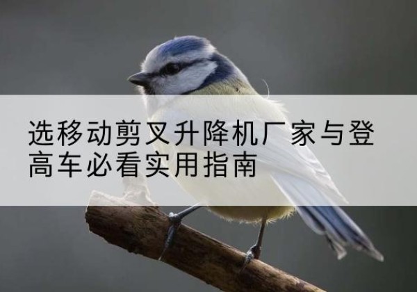 怒江电动升降机厂家-选移动剪叉升降机厂家与登高车必看实用指南