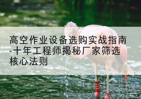 怒江剪叉式升降机厂家-高空作业设备选购实战指南-十年工程师揭秘厂家筛选核心法则